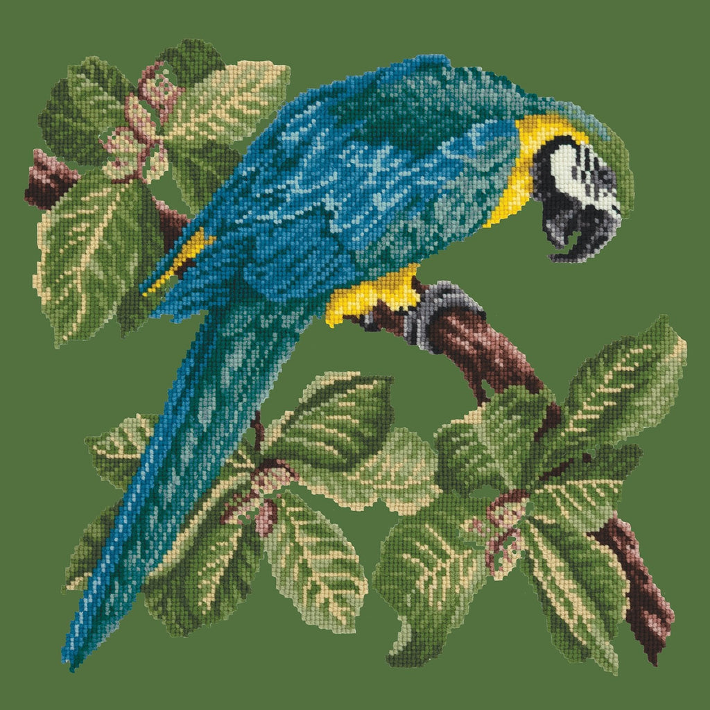 Macaw Needlepoint Kit Elizabeth Bradley Design Dark Green 
