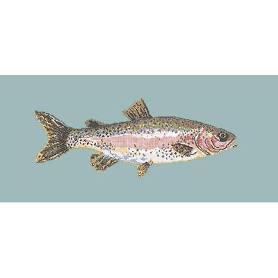 Rainbow Trout