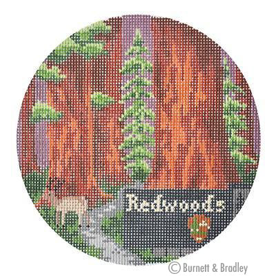 BB 6142 - Explore America - Redwoods