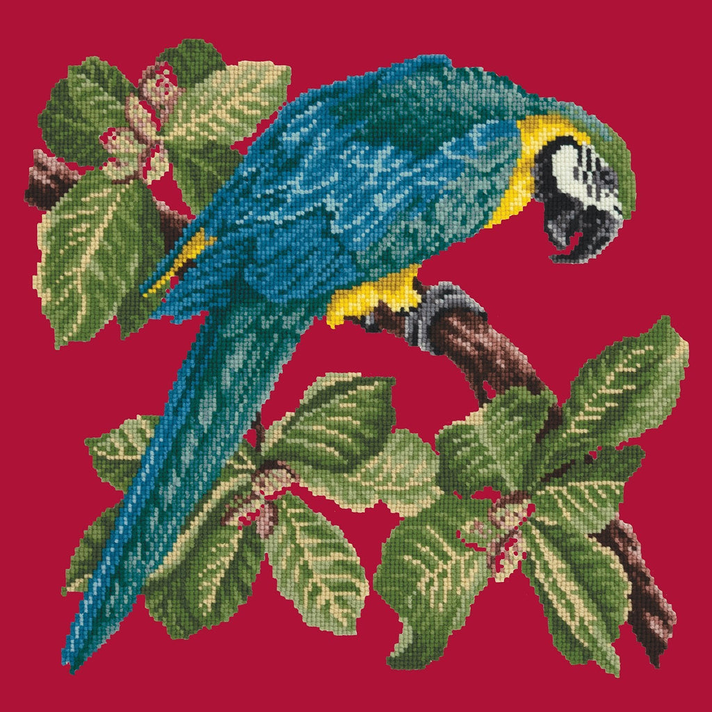 Macaw Needlepoint Kit Elizabeth Bradley Design Bright Red 