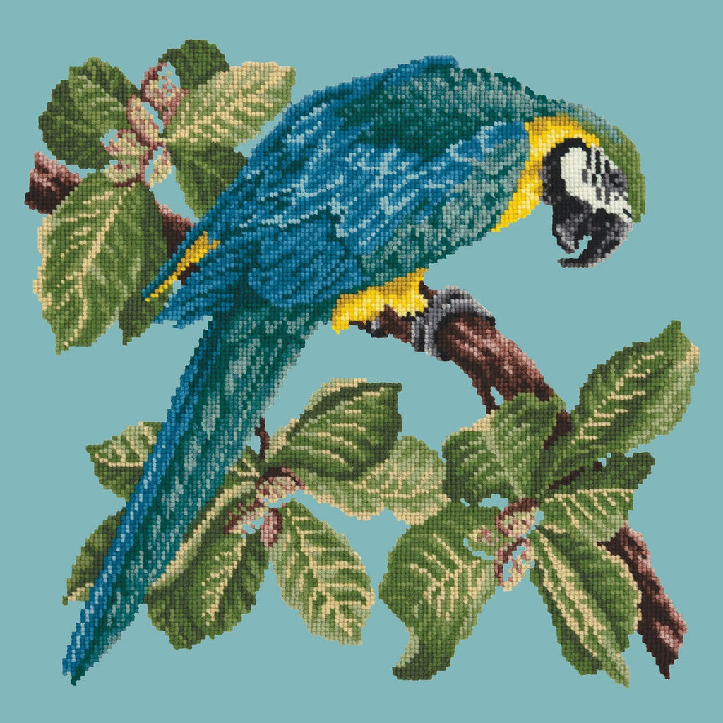 Macaw Needlepoint Kit Elizabeth Bradley Design Duck Egg Blue 