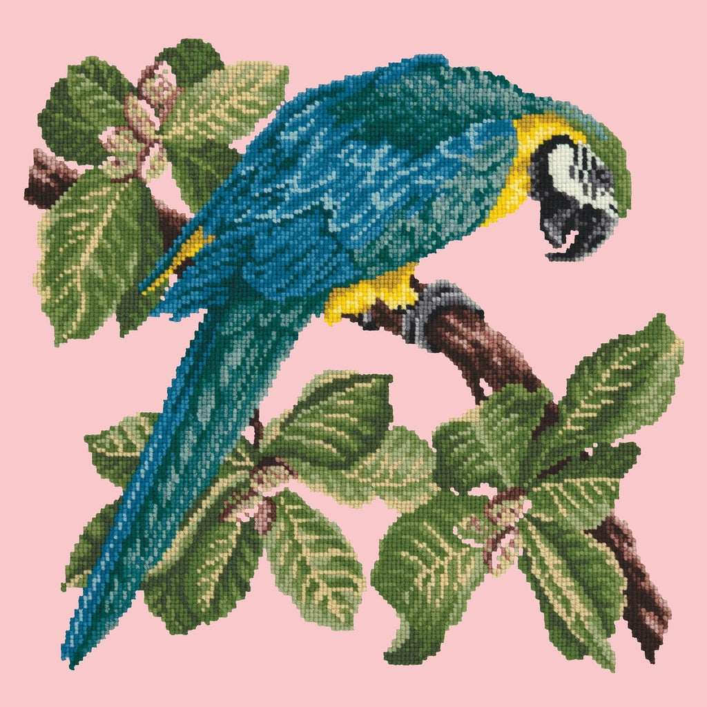 Macaw Needlepoint Kit Elizabeth Bradley Design Pale Rose 