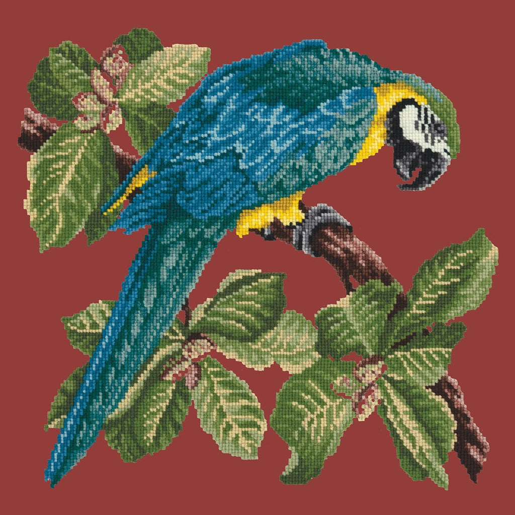 Macaw Needlepoint Kit Elizabeth Bradley Design Dark Red 