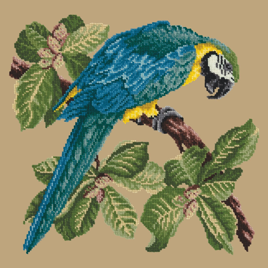 Macaw Needlepoint Kit Elizabeth Bradley Design Sand 