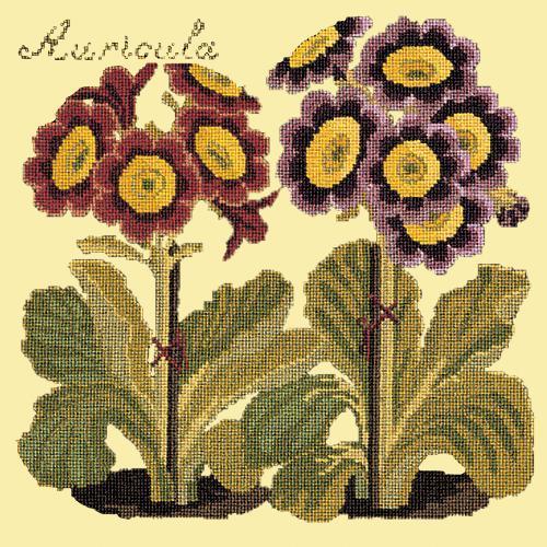 Auricula Needlepoint Kit Elizabeth Bradley Design Butter Yellow 