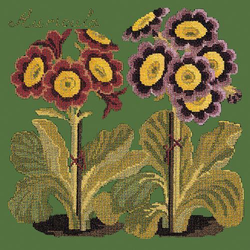 Auricula Needlepoint Kit Elizabeth Bradley Design Dark Green 