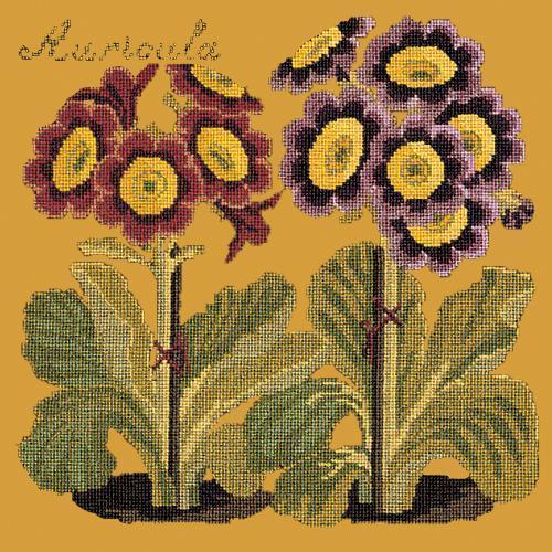 Auricula Needlepoint Kit Elizabeth Bradley Design Yellow 