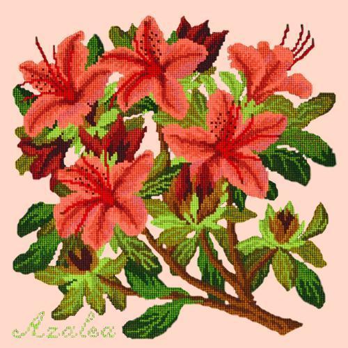 Azalea Needlepoint Kit Elizabeth Bradley Design Salmon Pink 