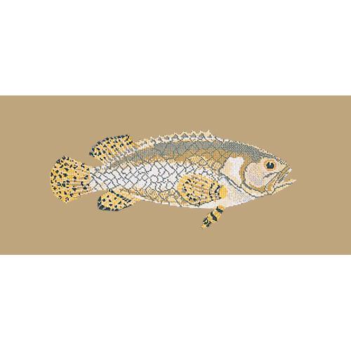 Brindled Grouper Needlepoint Kit Elizabeth Bradley Design Sand 