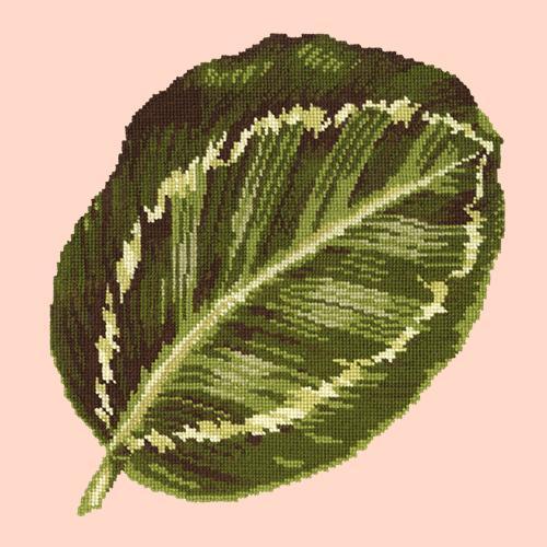 Calathea Leaf Needlepoint Kit Elizabeth Bradley Design Salmon Pink 