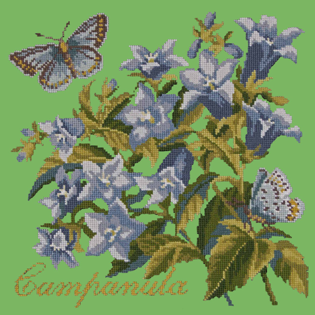 Campanula Needlepoint Kit Elizabeth Bradley Design Grass Green 