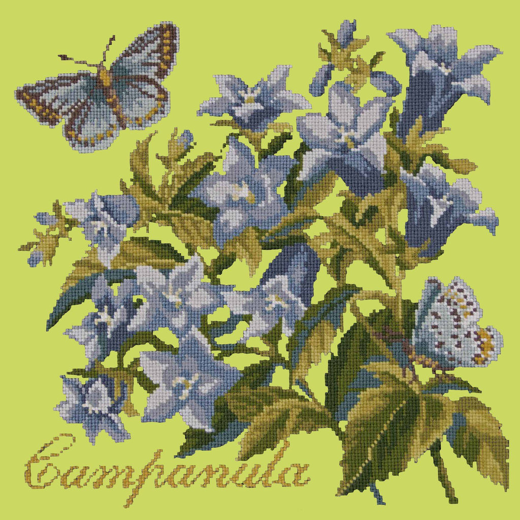 Campanula Needlepoint Kit Elizabeth Bradley Design Pale Lime 