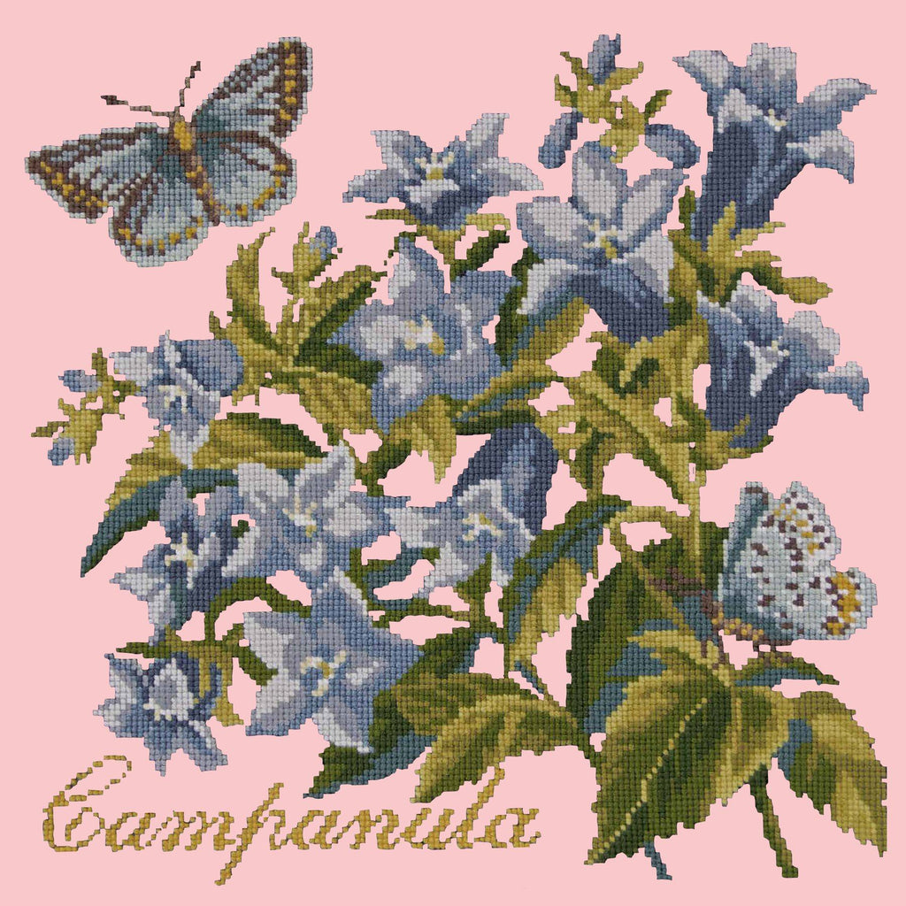 Campanula Needlepoint Kit Elizabeth Bradley Design Pale Rose 