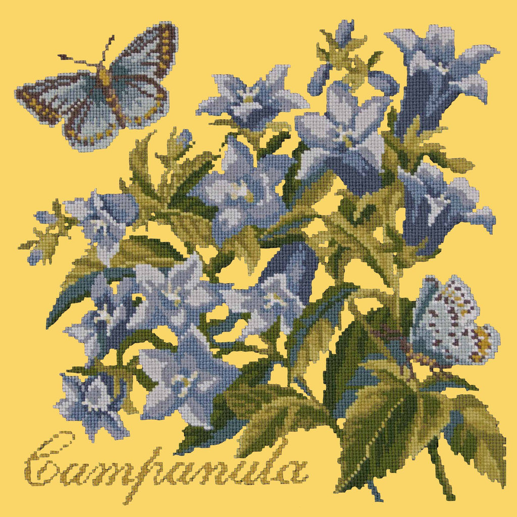 Campanula Needlepoint Kit Elizabeth Bradley Design Sunflower Yellow 