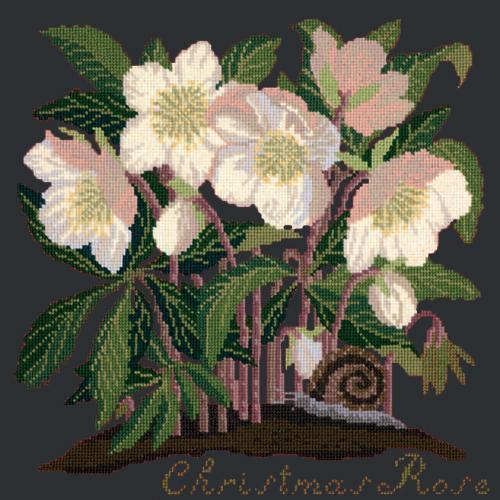 Christmas Rose Needlepoint Kit Elizabeth Bradley Design Black 