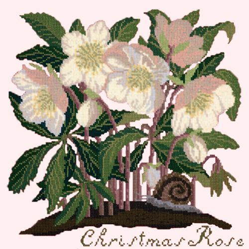 Christmas Rose Needlepoint Kit Elizabeth Bradley Design Cream 