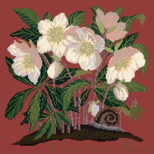 Christmas Rose Needlepoint Kit Elizabeth Bradley Design Dark Red 