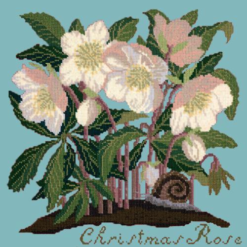 Christmas Rose Needlepoint Kit Elizabeth Bradley Design Duck Egg Blue 