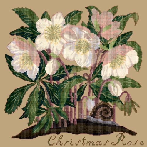 Christmas Rose Needlepoint Kit Elizabeth Bradley Design Sand 