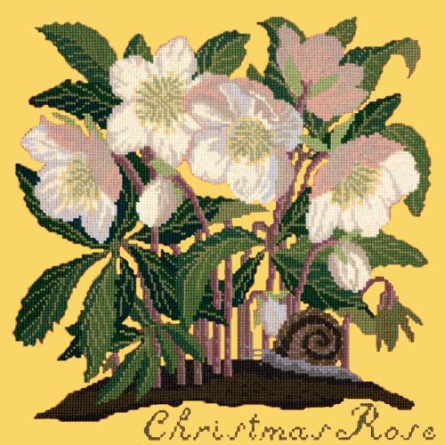 Christmas Rose Needlepoint Kit Elizabeth Bradley Design Sunflower Yellow 