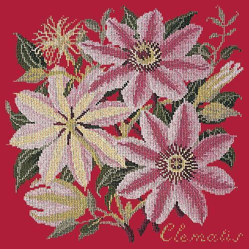 Clematis Needlepoint Kit Elizabeth Bradley Design Bright Red 