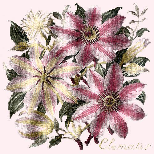 Clematis Needlepoint Kit Elizabeth Bradley Design 