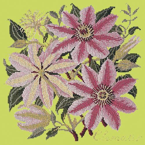 Clematis Needlepoint Kit Elizabeth Bradley Design Pale Lime 