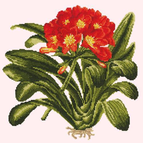 Clivia Needlepoint Kit Elizabeth Bradley Design Cream 