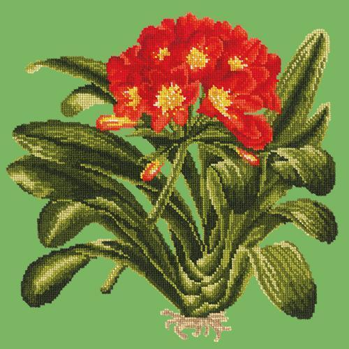 Clivia Needlepoint Kit Elizabeth Bradley Design Grass Green 