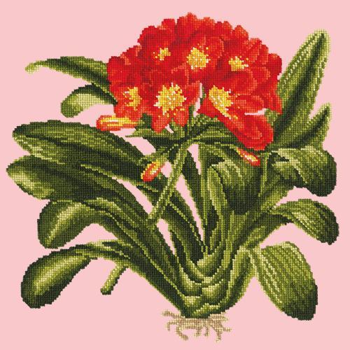 Clivia Needlepoint Kit Elizabeth Bradley Design Pale Rose 