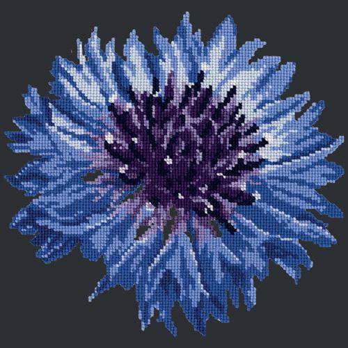 Cornflower Needlepoint Kit Elizabeth Bradley Design Black 