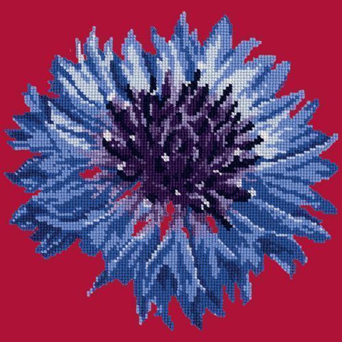 Cornflower Needlepoint Kit Elizabeth Bradley Design Bright Red 