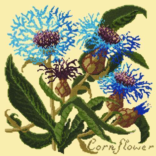 Cornflower Needlepoint Kit Elizabeth Bradley Design Butter Yellow 