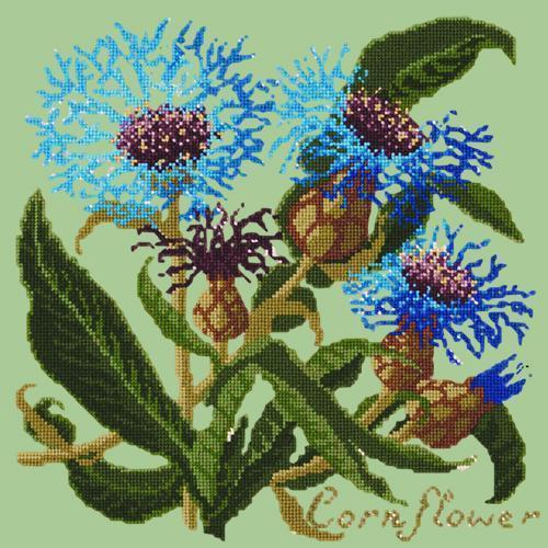 Cornflower Needlepoint Kit Elizabeth Bradley Design Pale Green 