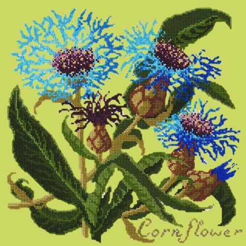 Cornflower Needlepoint Kit Elizabeth Bradley Design Pale Lime 