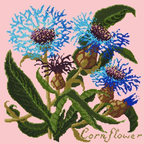 Cornflower Needlepoint Kit Elizabeth Bradley Design Pale Rose 