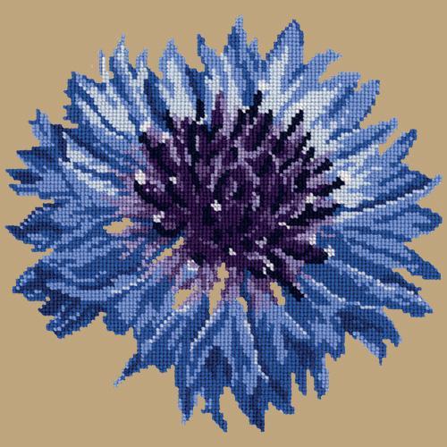 Cornflower Needlepoint Kit Elizabeth Bradley Design Sand 