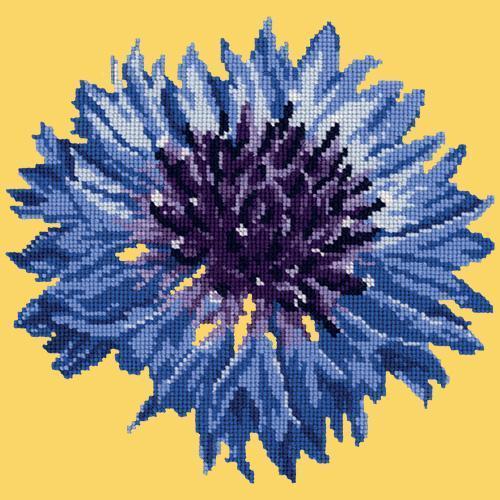 Cornflower Needlepoint Kit Elizabeth Bradley Design Sunflower Yellow 