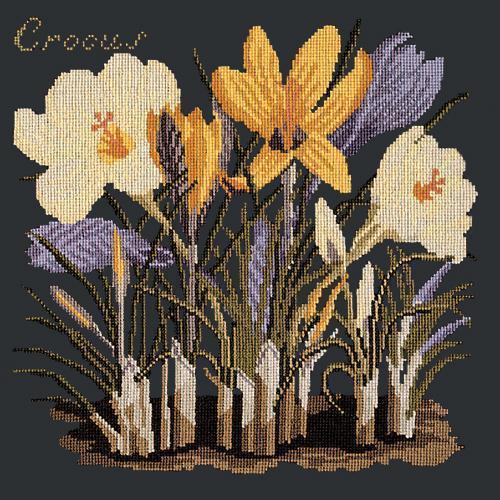 Crocus Needlepoint Kit Elizabeth Bradley Design 