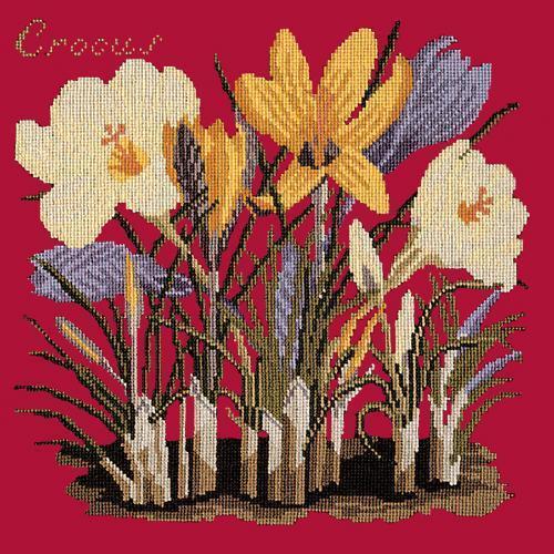 Crocus Needlepoint Kit Elizabeth Bradley Design Bright Red 