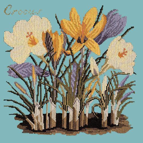 Crocus Needlepoint Kit Elizabeth Bradley Design Duck Egg Blue 