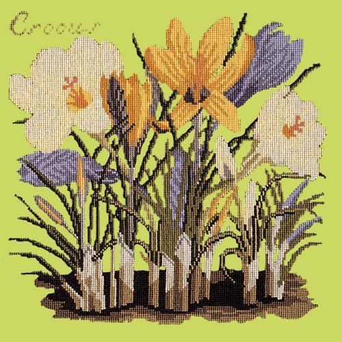 Crocus Needlepoint Kit Elizabeth Bradley Design Pale Lime 