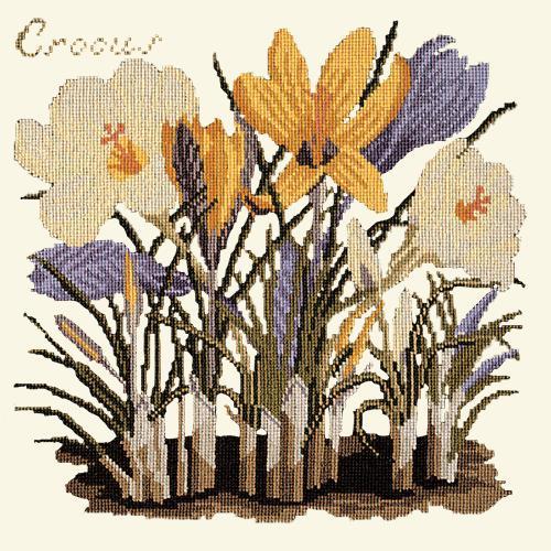 Crocus Needlepoint Kit Elizabeth Bradley Design 