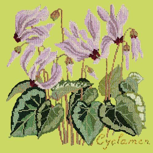 Cyclamen Needlepoint Kit Elizabeth Bradley Design Pale Lime 