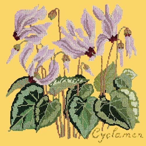 Cyclamen Needlepoint Kit Elizabeth Bradley Design Sunflower Yellow 