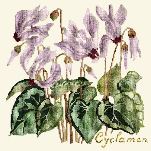 Cyclamen Needlepoint Kit Elizabeth Bradley Design Winter White 