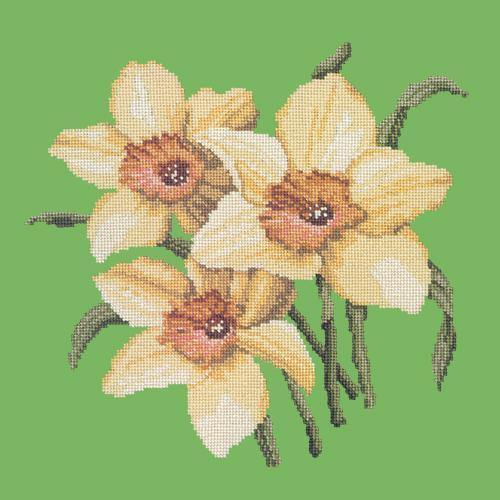 Daffodils Needlepoint Kit Elizabeth Bradley Design Grass Green 