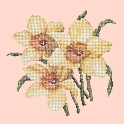 Daffodils Needlepoint Kit Elizabeth Bradley Design Salmon Pink 