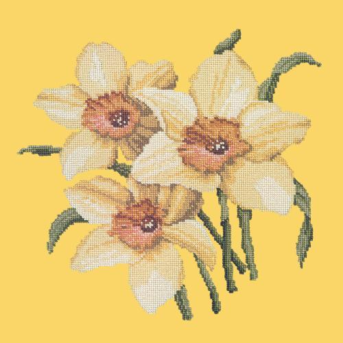 Daffodils Needlepoint Kit Elizabeth Bradley Design Sunflower Yellow 