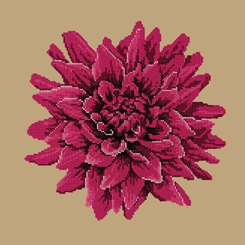 Dahlia Needlepoint Kit Elizabeth Bradley Design Sand 